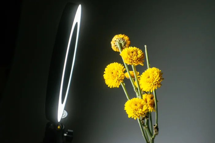 artificial light to enhance macro images